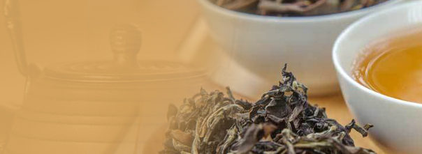 Oolong tea seeping in mug - is oolong tea good for you concept